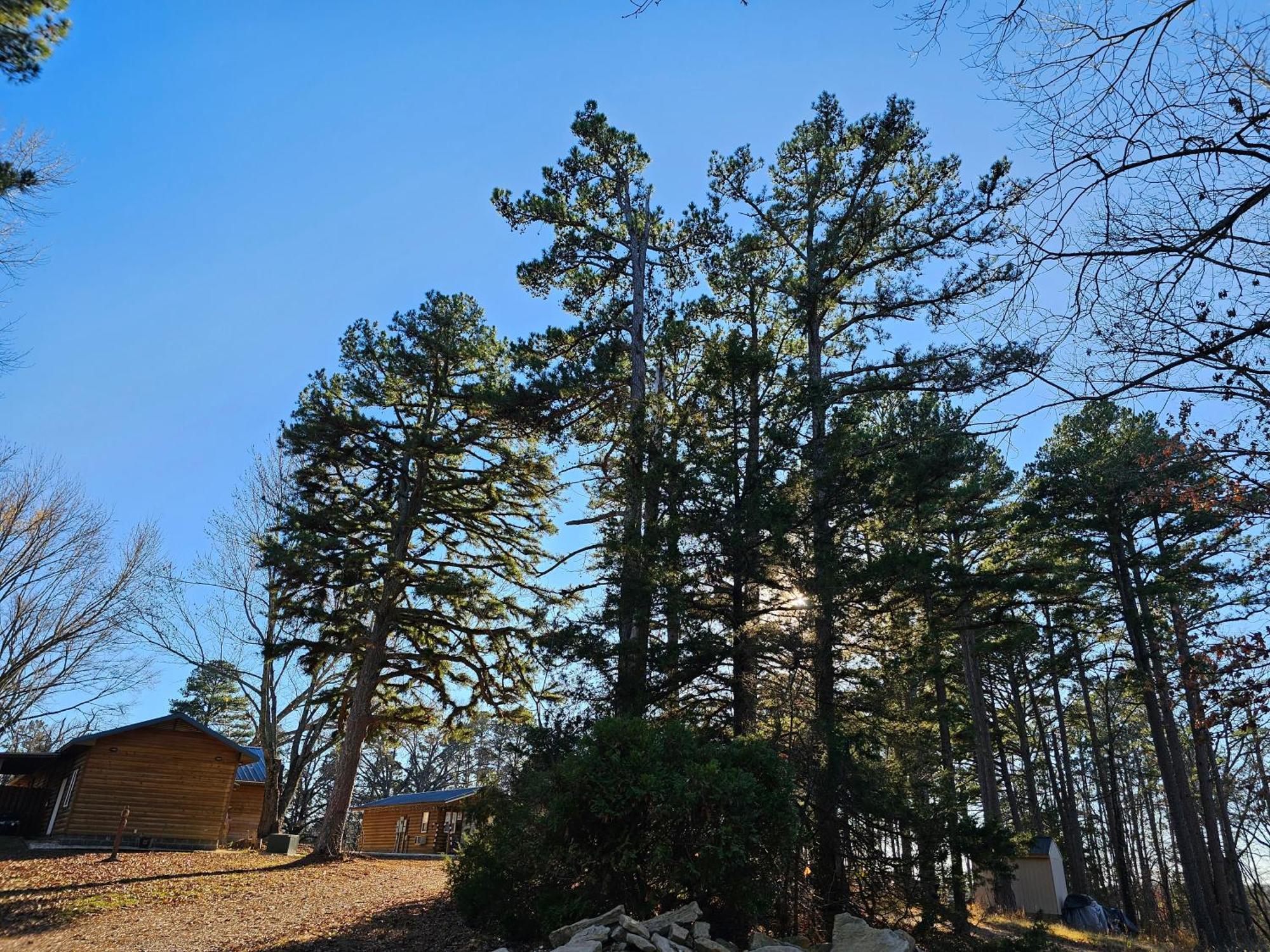 5 Min To Beaver Lake-King Bed-Fire Pit-Jetted Tub #4 Eureka Springs Eksteriør billede